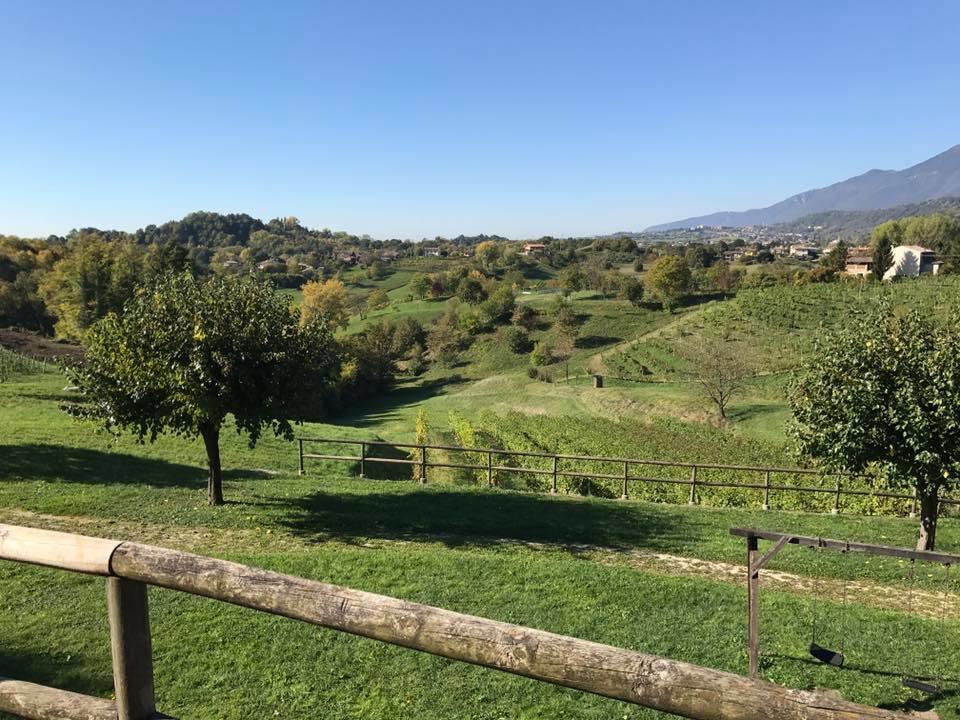 Вілла Agriturismo Al Capitello Азоло Екстер'єр фото